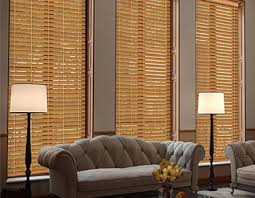 Vertical Blind
